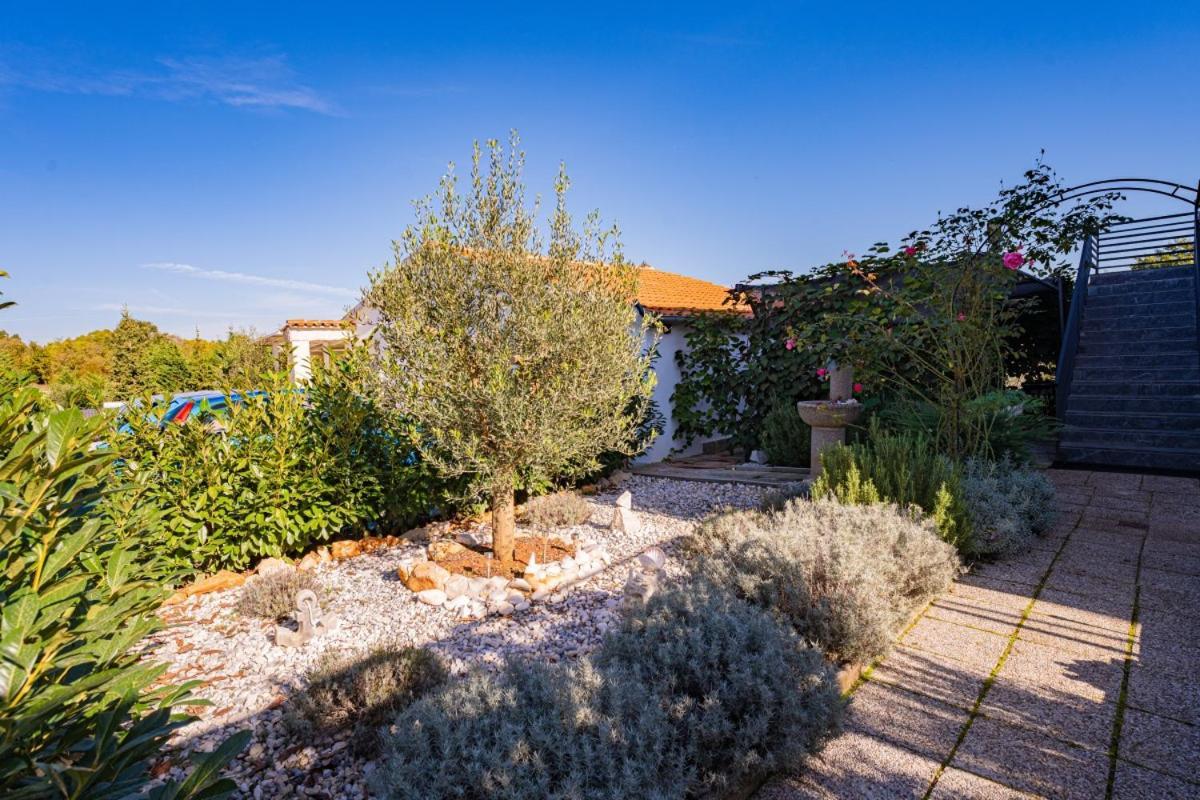 Guest house Carpe Diem In Kosinozici - Istrien Vrznaveri
