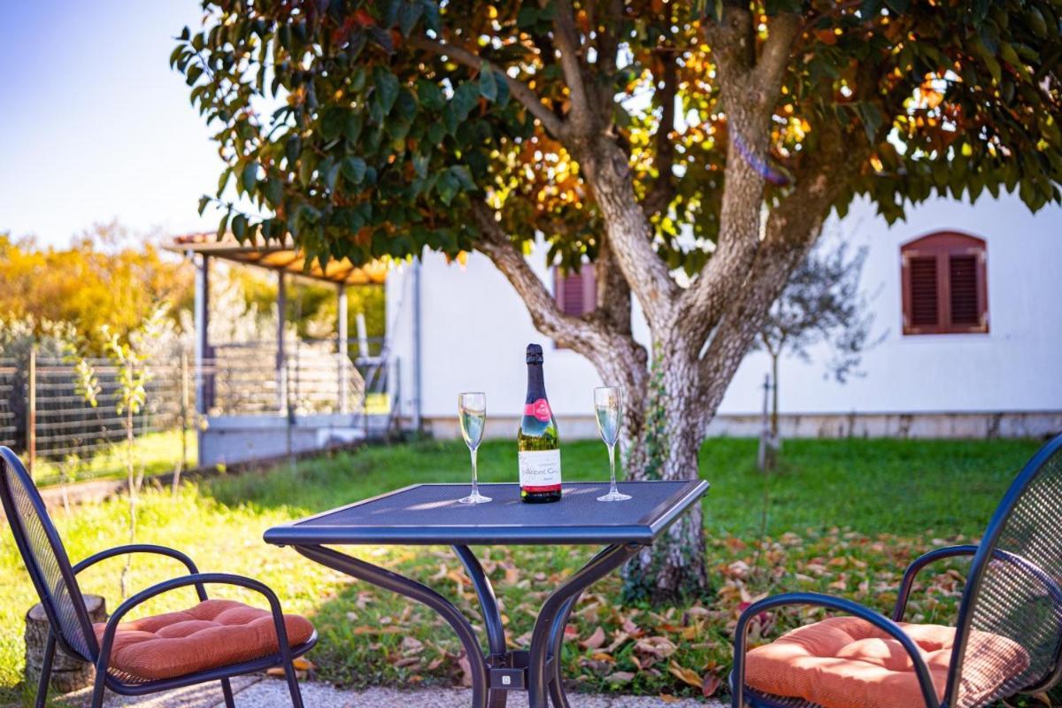 Guest house Carpe Diem In Kosinozici - Istrien *