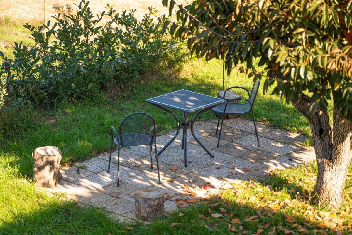 Carpe Diem In Kosinozici - Istrien Gasthof Vrznaveri